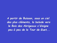 25.10.12 buisson